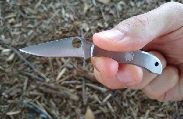 TOP 12 Smallest Knives – knifeland.eu